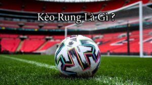 Tìm Hiểu Kèo Rung Là Gì? 